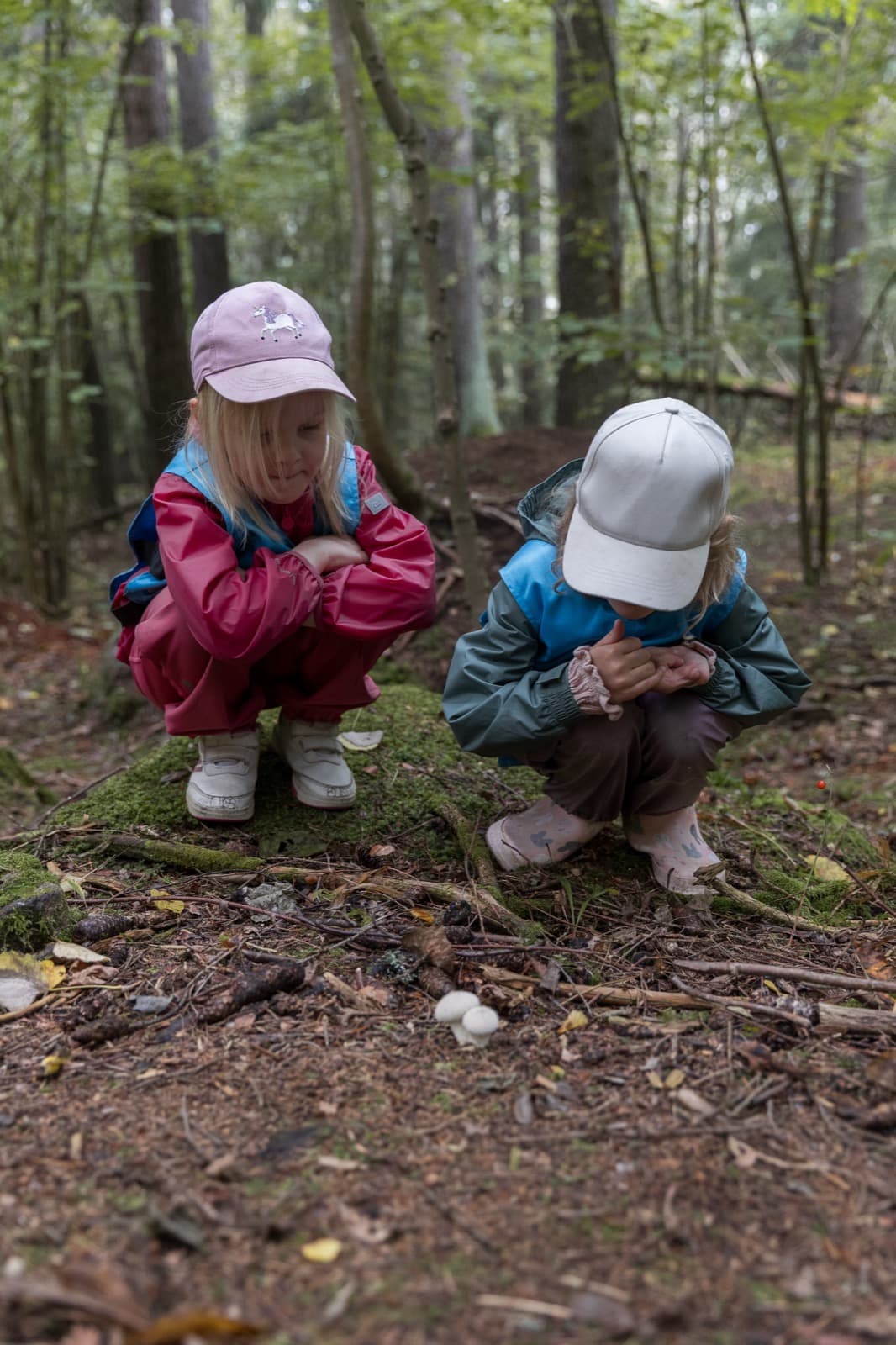 Children exploring nature on an outing